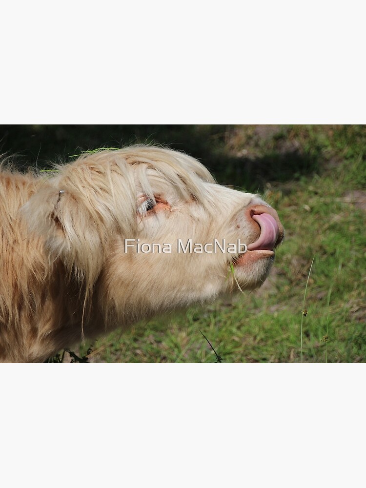 Lick by orcadia