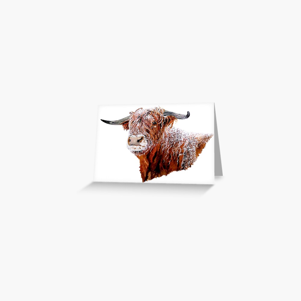 Snowy Highland Cow Greeting Card