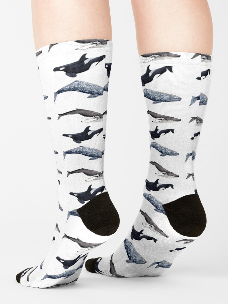 "Orca, humpback and grey whale" Socks for Sale by CHLOEYZOARD Redbubble
