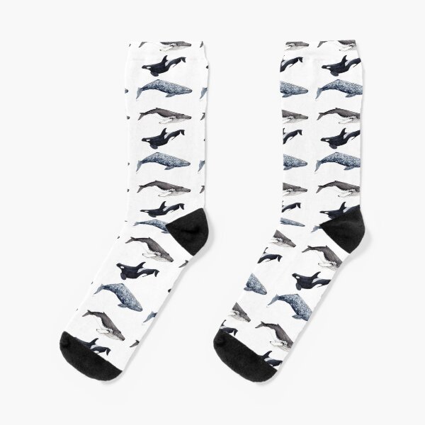 Item preview, Orca, humpback and grey whale designed and sold by chloeyzoard.