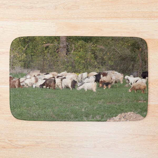 Item preview, Sheep Grazing designed and sold by Allen Penton.