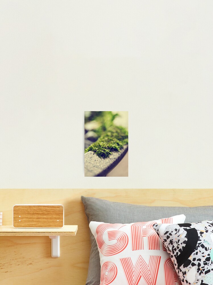 Thumbnail 2 of 3, Photographic Print, Day 90 - 8th October 2011 designed and sold by petegrev.