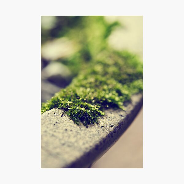 Photographic Print