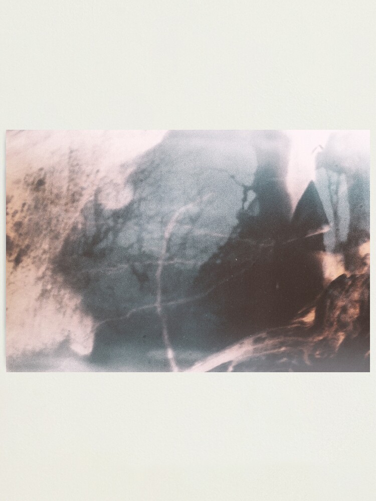 Alternate view of LE BÉLIER CONSTELLÉ Photographic Print