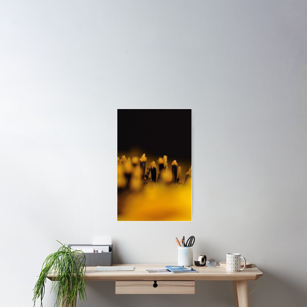 Item preview, Poster designed and sold by pauleden.