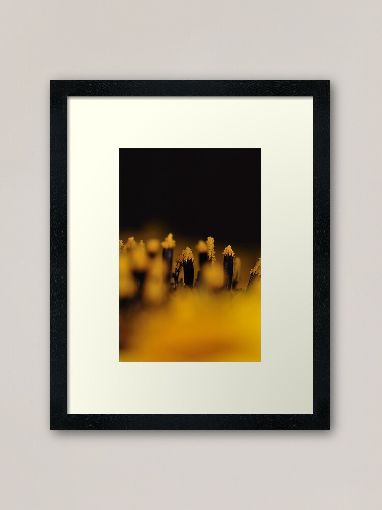 Thumbnail 2 of 7, Framed Art Print, Sunflower 1:1 designed and sold by Paul Eden.