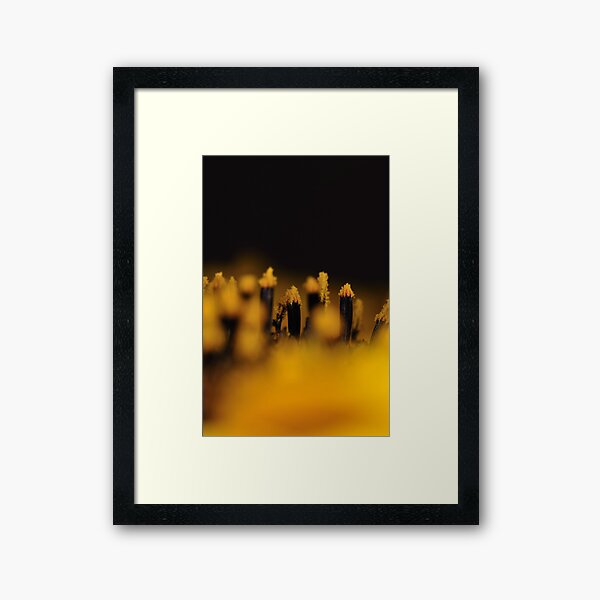 Sunflower 1:1 Framed Art Print