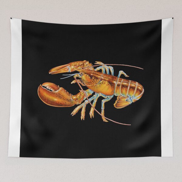 Item preview, Maine Lobster designed and sold by TimJeffsArt.