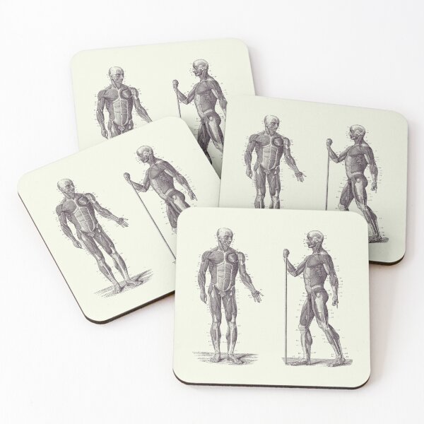 Item preview, Dual View Human Muscle System - Vintage Anatomy 2 designed and sold by VAposters.