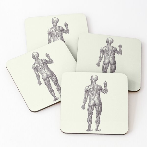 Item preview, Human Muscle System - Rear View - Vintage Anatomy 2 designed and sold by VAposters.
