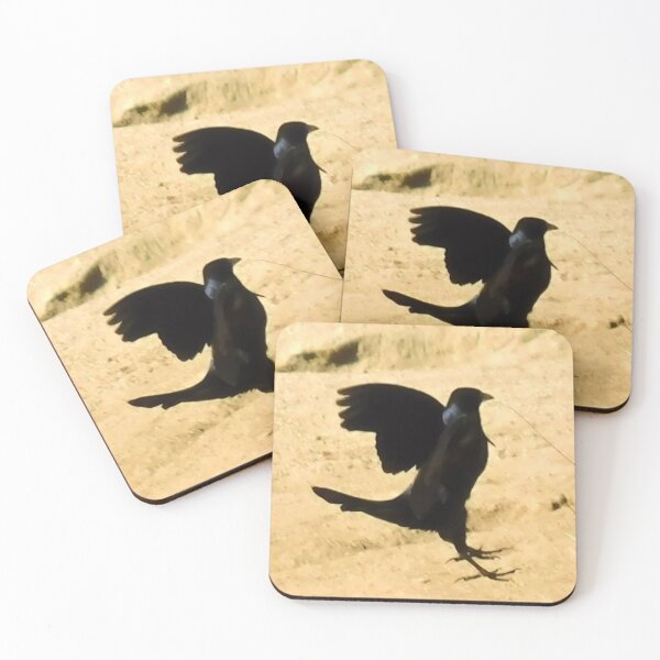 Item preview, Avian ballet practice designed and sold by MChabalaRussell.