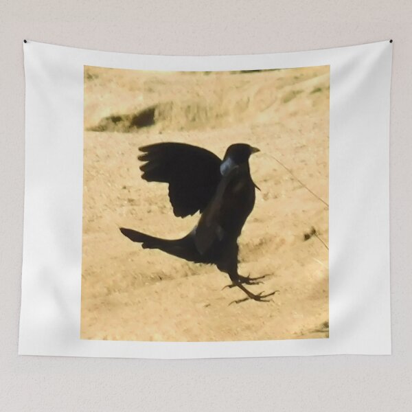 Item preview, Avian ballet practice designed and sold by MChabalaRussell.