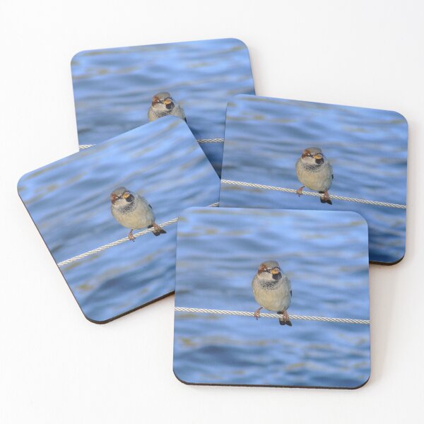 Item preview, Bird on a wire designed and sold by aligata1970.