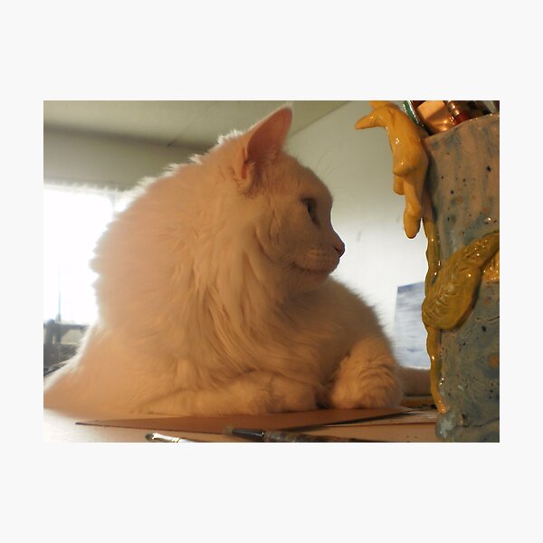 Item preview, Sugar posing with my art supplies designed and sold by Nora Fraser.