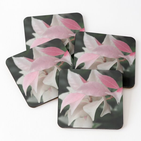 Item preview, Botanica designed and sold by Melissa01234.
