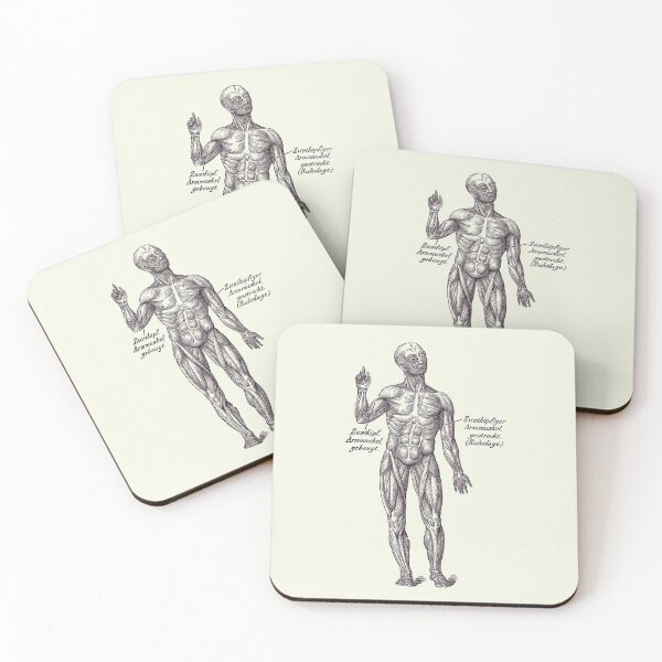Item preview, German Diagram Arm Muscular System - Vintage Anatomy 2 designed and sold by VAposters.