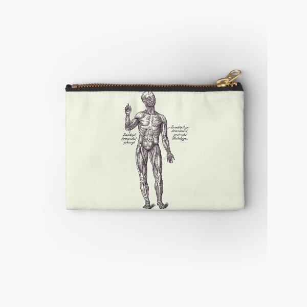 Item preview, German Diagram Arm Muscular System - Vintage Anatomy 2 designed and sold by VAposters.