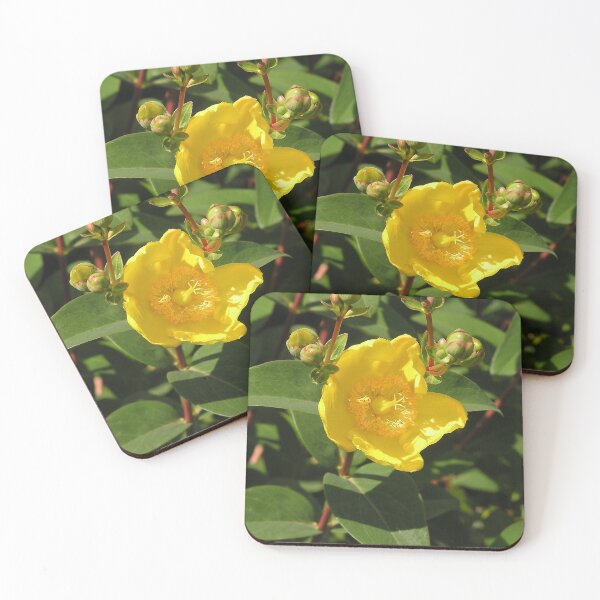 Item preview, St. John's Wort designed and sold by Betty Mackey.