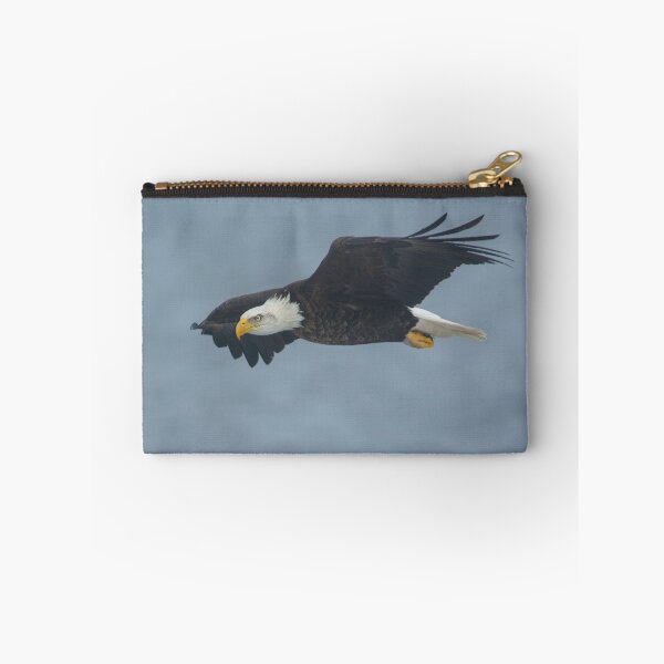 Item preview, American Bald Eagle flying at Lower Klamath NWR Oregon designed and sold by Steven Holt.