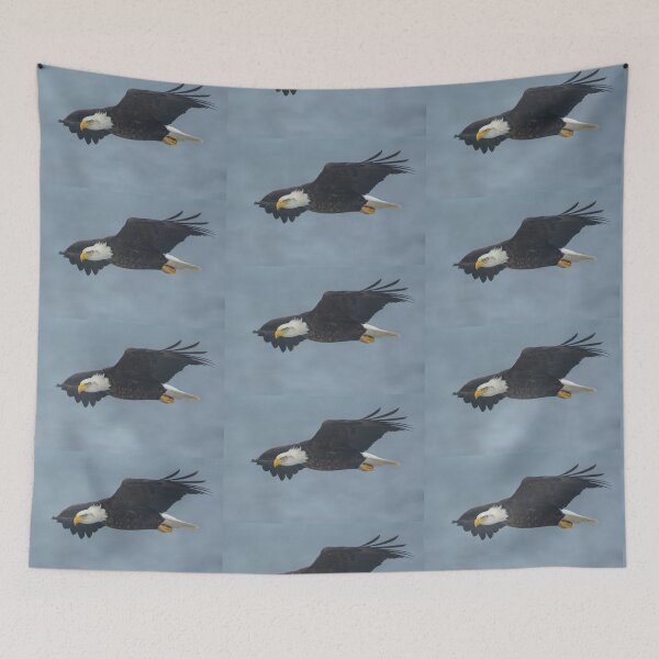 Item preview, American Bald Eagle flying at Lower Klamath NWR Oregon designed and sold by Steven Holt.