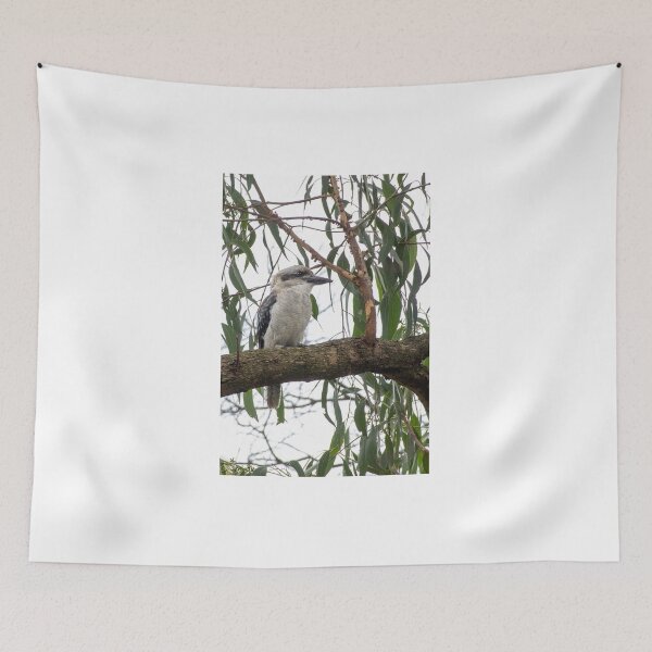 Item preview, Kookaburra designed and sold by DPalmer.
