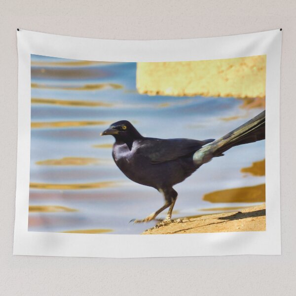 Item preview, Testing the waters designed and sold by MChabalaRussell.