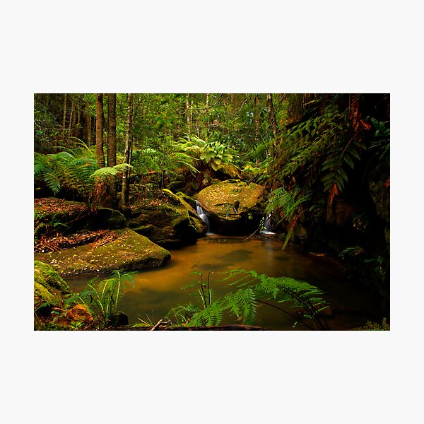 Item preview, Blue Mountains, NSW. designed and sold by Andy Newman.