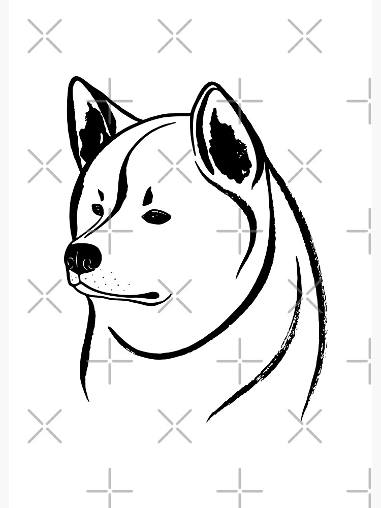 Akita Inu noir et blanc Impression sur toile