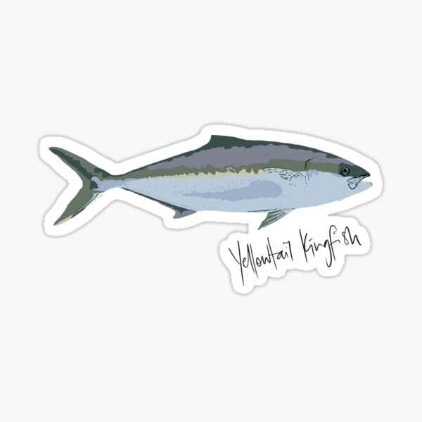 Kingfish Stickers for Sale