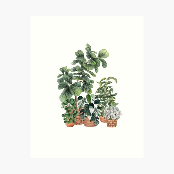 Item preview, House Plants Illustration 9  designed and sold by Ana Moguš.