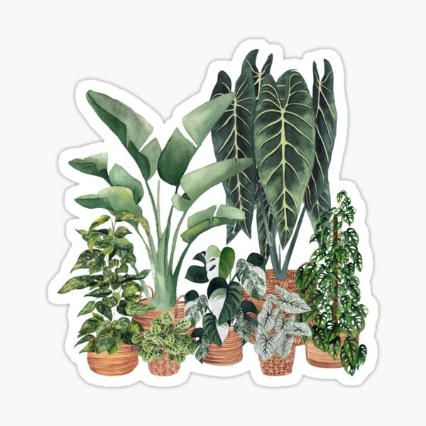House Plants Illustration 16 Sticker
