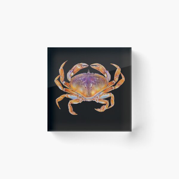Item preview, Dungeness crab designed and sold by TimJeffsArt.