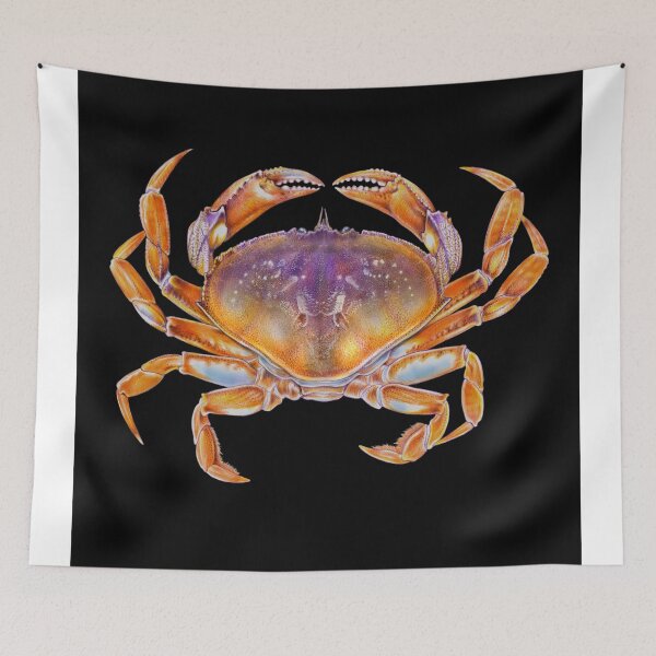 Item preview, Dungeness crab designed and sold by TimJeffsArt.