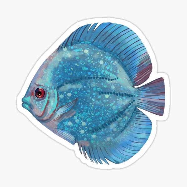 Blue Discus Fish Sticker