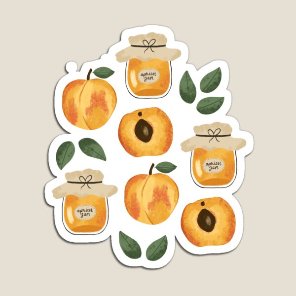 Apricot Jam Pattern Magnet