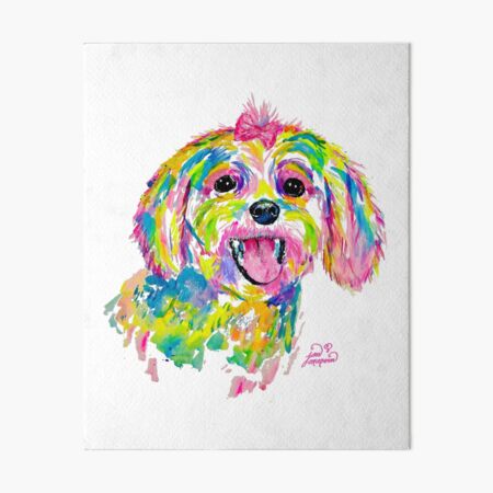 Maltese or Bichon Frise painting Art Board Print