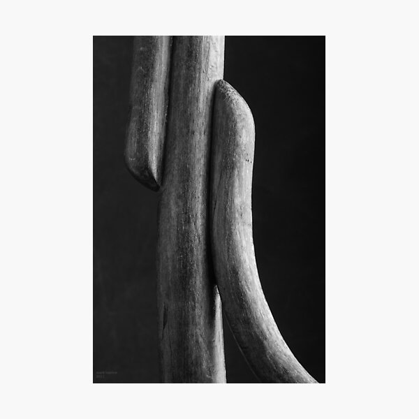 Study of form in Thonet Chair Photographic Print