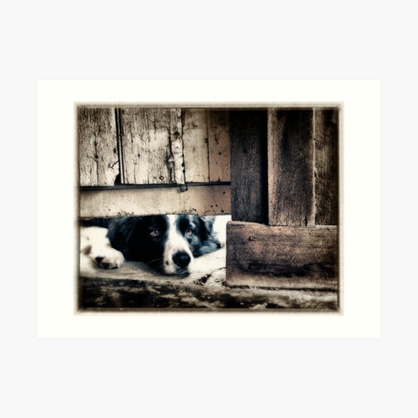 HoHum Art Print