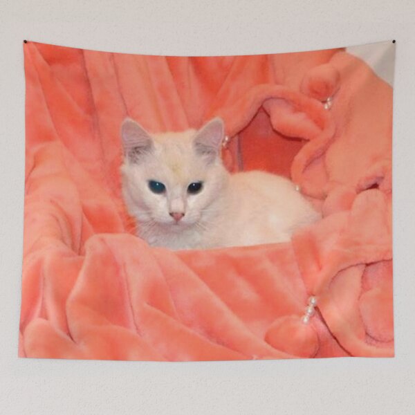 Item preview, RAISSA KAHINA 1 Queen of the Berbers white cat blanket pink orange cute sweet portrait photo designed and sold by dragonemma.