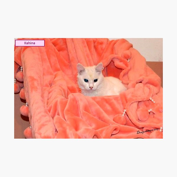 Item preview, RAISSA KAHINA 1 Queen of the Berbers white cat blanket pink orange cute sweet portrait photo designed and sold by dragonemma.