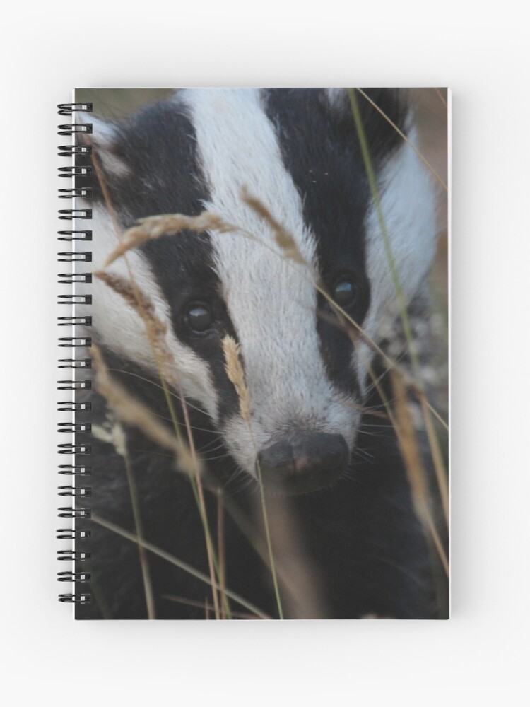 Thumbnail 1 of 3, Journal, Badger hide and seek designed and sold by orcadia.