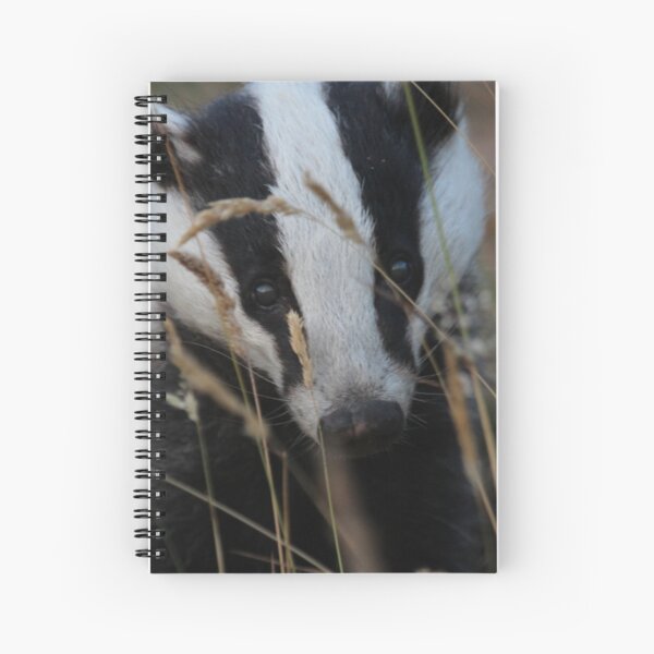 Badger hide and seek Spiral Notebook