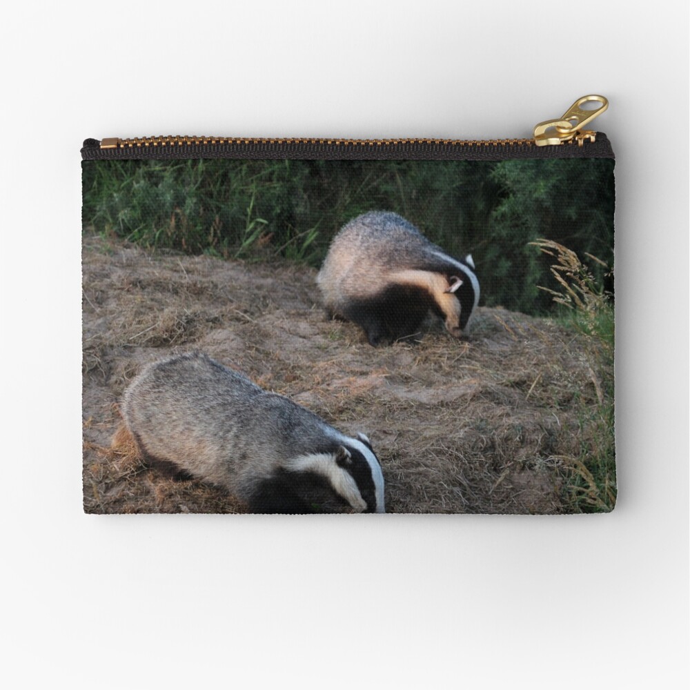 Item preview, Zipper Pouch designed and sold by orcadia.