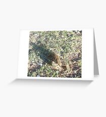 Crawdad Greeting Card