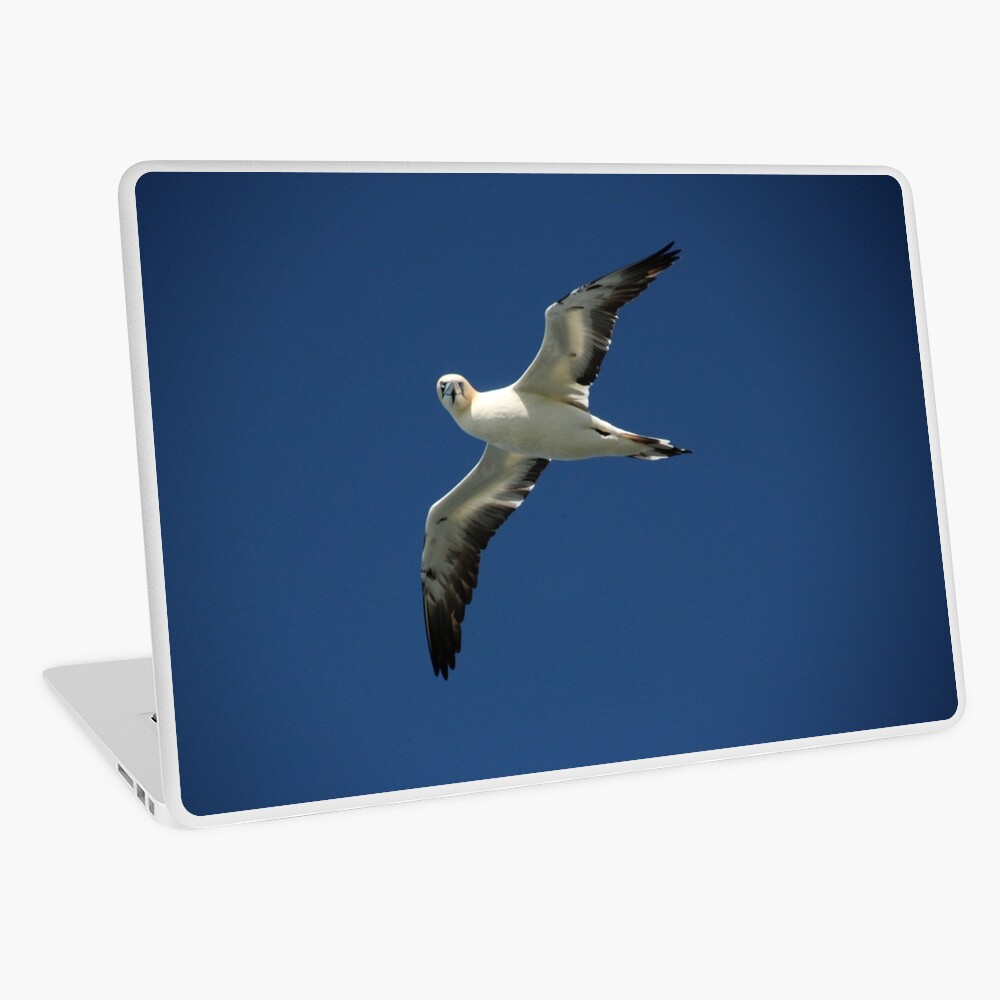 Flypast Laptop Skin