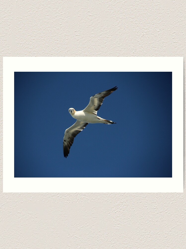 Alternate view of Flypast Art Print