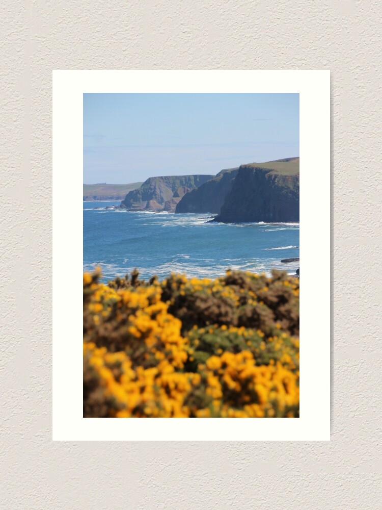 Alternate view of Springtime gorse Art Print