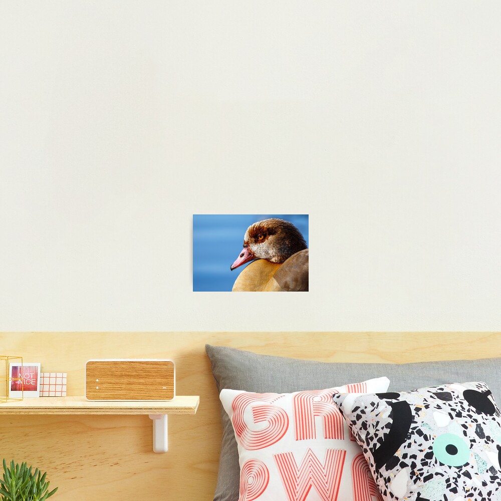 Item preview, Photographic Print designed and sold by SerialSnapper.