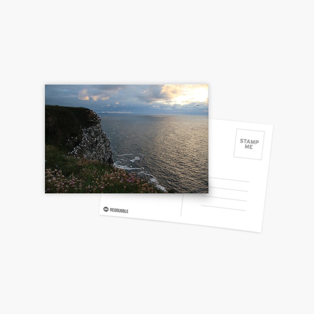 Troup Evening Postcard