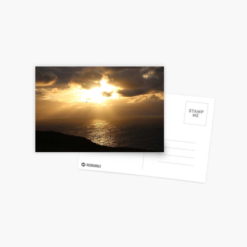 Troup sunset Postcard